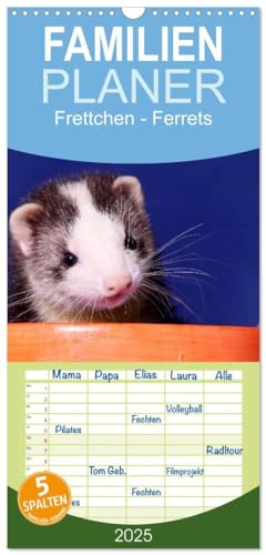 Familienplaner 2025 - Frettchen - Ferrets mit 5 Spalten (Wandkalender, 21 cm x 45 cm), CALVENDO: lustige Kobolde von CALVENDO