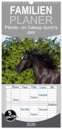 Familienplaner 2025 - Pferde - im Galopp durch's Jahr mit 5 Spalten (Wandkalender, 21 cm x 45 cm), CALVENDO von CALVENDO