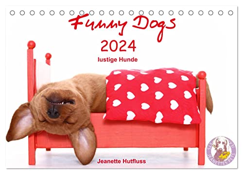 Funny Dogs (Tischkalender 2024 DIN A5 quer), CALVENDO Monatskalender von CALVENDO