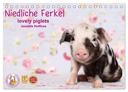 Niedliche Ferkel lovely piglets 2024 (Tischkalender 2024 DIN A5 quer), CALVENDO Monatskalender von CALVENDO
