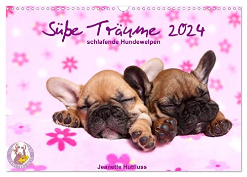 Süße Träume 2024 - schlafende Hundewelpen (Wandkalender 2024 DIN A3 quer), CALVENDO Monatskalender