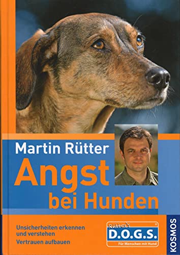 Angst bei Hunden: Unsicherheiten erkennen und verstehen Vertrauen aufbauen