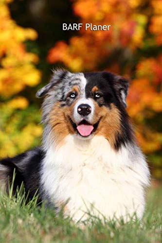 BARF Planer: für Deinen Australian Shepherd - mit Vorlagen zum eintragen der Mahlzeiten, Softcover, 120Seiten, 6x9" (Australian Shepherd - alle ... Krankenakte und Welpentagebuch, Band 13) von Independently published