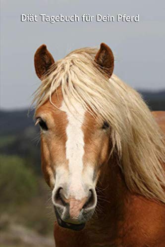 Diät Tagebuch für Dein Pferd: Haflinger - schnell und einfach dokumentieren, inkl. Vorlagen zum Ausfüllen (Diät Tagebuch weitere Cover mit Pferden) von Independently published