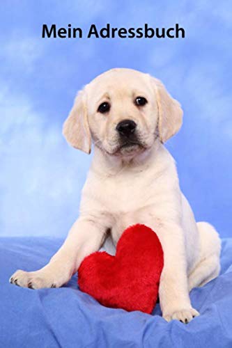Mein Adressbuch: Labrador Welpe - mit A-Z Register, Softcover, 110Seiten, 6x9" ähnlich Din A5 (Labrador Retriever in blond - Trainingstagebuch, Krankenakte, BARF Planer und Welpentagebuch) Mein Adressbuch: Labrador Welpe - mit A-Z Register, Softcover, 110Seiten, 6x9" ähnlich Din A5 (Labrador Retriever in blond - Trainingstagebuch, Krankenakte, BARF Planer und Welpentagebuch) von Independently published
