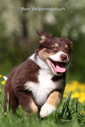 Mein Welpentagebuch: Australian Shepherd - 120 Seiten - Softcover (Australian Shepherd - alle Bücher: Trainingstagebuch, Krankenakte und Welpentagebuch, Band 9)