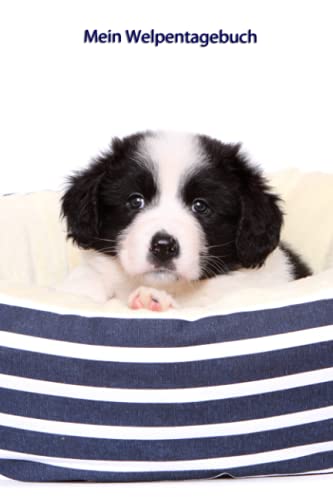 Mein Welpentagebuch: Border Collie - für Welpenbesitzer und Hundezüchter Mein Welpentagebuch: Border Collie - für Welpenbesitzer und Hundezüchter von Independently published