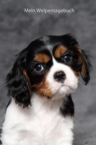 Mein Welpentagebuch: Cavalier King Charles Spaniel Mein Welpentagebuch: Cavalier King Charles Spaniel von Independently published