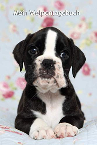 Mein Welpentagebuch: Deutscher Boxer - für Welpenbesitzer - für Hundezüchter als Geschenk für die Welpenkäufer beim Auszug der Welpen Mein Welpentagebuch: Deutscher Boxer - für Welpenbesitzer - für Hundezüchter als Geschenk für die Welpenkäufer beim Auszug der Welpen von Independently published