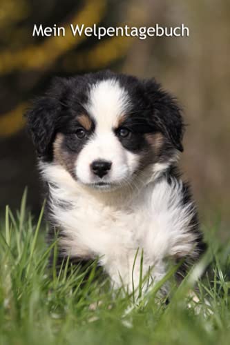 Mein Welpentagebuch: Miniature Australian Shepherd - für Welpenbesitzer - für Hundezüchter als Geschenk für die Welpenkäufer beim Auszug der Welpen