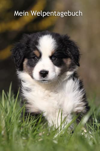 Mein Welpentagebuch: Miniature Australian Shepherd - für Welpenbesitzer - für Hundezüchter als Geschenk für die Welpenkäufer beim Auszug der Welpen Mein Welpentagebuch: Miniature Australian Shepherd - für Welpenbesitzer - für Hundezüchter als Geschenk für die Welpenkäufer beim Auszug der Welpen von Independently published