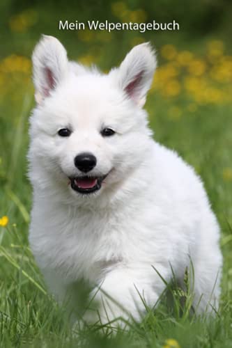 Mein Welpentagebuch: Weißer Schweizer Schäferhund (Weißer Schweizer Schäferhund - weitere Bücher zum Ausfüllen, Band 3) Mein Welpentagebuch: Weißer Schweizer Schäferhund (Weißer Schweizer Schäferhund - weitere Bücher zum Ausfüllen, Band 3) von Independently published