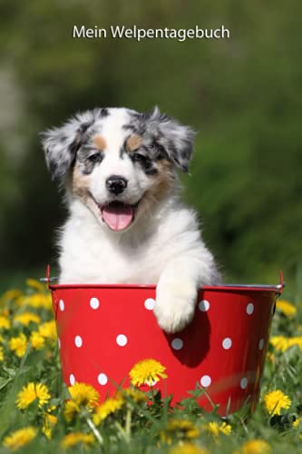 Mein Welpentagebuch: die ersten Monate mit meinem Australian Shepherd (Australian Shepherd - alle Bücher: Trainingstagebuch, Krankenakte und Welpentagebuch, Band 12) von Independently published