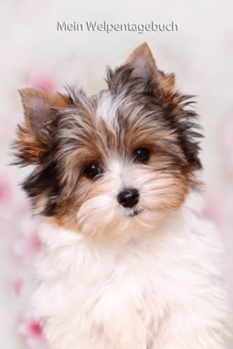 Mein Welpentagebuch: die ersten Monate mit meinem Biewer Yorkshire Terrier Mein Welpentagebuch: die ersten Monate mit meinem Biewer Yorkshire Terrier von Independently published