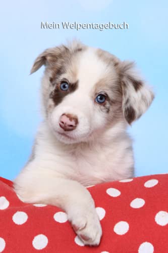 Mein Welpentagebuch: die ersten Monate mit meinem Border Collie Mein Welpentagebuch: die ersten Monate mit meinem Border Collie von Independently published