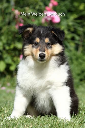 Mein Welpentagebuch: die ersten Monate mit meinem Collie (Amerikanischer Collie - alle Bücher: Trainingstagebuch, Krankenakte, BARF Planer und Welpentagebuch, Band 2) von Independently published