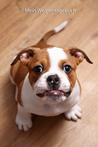 Mein Welpentagebuch: die ersten Monate mit meinem Continental Bulldog Mein Welpentagebuch: die ersten Monate mit meinem Continental Bulldog von Independently published