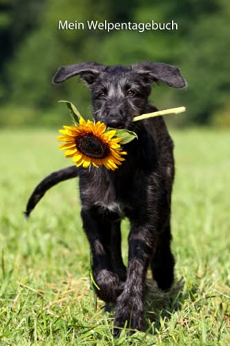 Mein Welpentagebuch: die ersten Monate mit meinem Deerhound Mein Welpentagebuch: die ersten Monate mit meinem Deerhound von Independently published