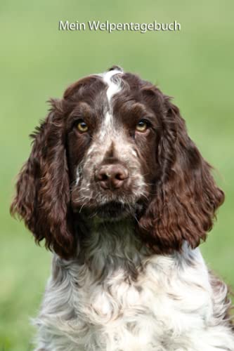 Mein Welpentagebuch: die ersten Monate mit meinem English Cocker Spaniel Mein Welpentagebuch: die ersten Monate mit meinem English Cocker Spaniel von Independently published