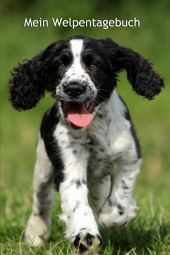 Mein Welpentagebuch: die ersten Monate mit meinem English Springer Spaniel - für Welpenbesitzer - für Hundezüchter als Geschenk für die Welpenkäufer ... BARF Planer und Welpentagebuch, Band 6) von Independently published