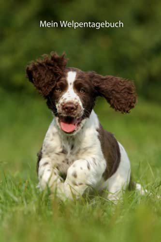Mein Welpentagebuch: die ersten Monate mit meinem English Springer Spaniel (English Springer Spaniel - alle Bücher: Trainingstagebuch, Krankenakte, BARF Planer und Welpentagebuch, Band 3) Mein Welpentagebuch: die ersten Monate mit meinem English Springer Spaniel (English Springer Spaniel - alle Bücher: Trainingstagebuch, Krankenakte, BARF Planer und Welpentagebuch, Band 3) von Independently published