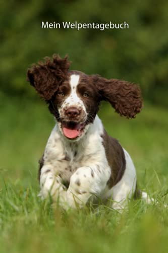 Mein Welpentagebuch: die ersten Monate mit meinem English Springer Spaniel (English Springer Spaniel - alle Bücher: Trainingstagebuch, Krankenakte, BARF Planer und Welpentagebuch, Band 3) von Independently published