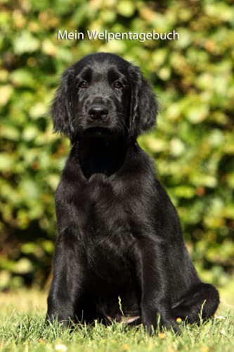 Mein Welpentagebuch: die ersten Monate mit meinem Flat Coated Retriever (Flat Coated Retriever- alle Bücher: Trainingstagebuch, Krankenakte, BARF Planer und Welpentagebuch, Band 4) Mein Welpentagebuch: die ersten Monate mit meinem Flat Coated Retriever (Flat Coated Retriever- alle Bücher: Trainingstagebuch, Krankenakte, BARF Planer und Welpentagebuch, Band 4)