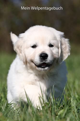Mein Welpentagebuch: die ersten Monate mit meinem Golden Retriever Mein Welpentagebuch: die ersten Monate mit meinem Golden Retriever von Independently published