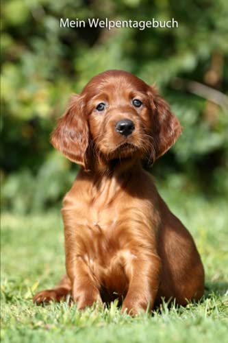 Mein Welpentagebuch: die ersten Monate mit meinem Irish Setter (Irish Setter - alle Bücher: Trainingstagebuch, Krankenakte BARF Planer und Welpentagebuch, Band 3) von Independently published