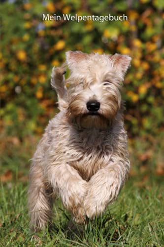 Mein Welpentagebuch: die ersten Monate mit meinem Irish Soft Coated Wheaten Terrier von Independently published