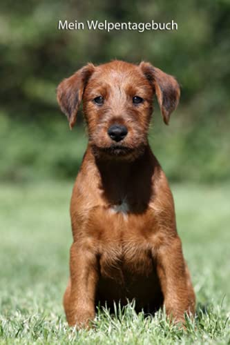 Mein Welpentagebuch: die ersten Monate mit meinem Irish Terrier (Irish Terrier - alle Bücher: Trainingstagebuch, Krankenakte und Welpentagebuch, Band 3)