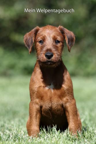 Mein Welpentagebuch: die ersten Monate mit meinem Irish Terrier (Irish Terrier - alle Bücher: Trainingstagebuch, Krankenakte und Welpentagebuch, Band 3) von Independently published