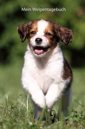 Mein Welpentagebuch: die ersten Monate mit meinem Kooikerhondje (Kooikerhondje - alle Bücher: Trainingstagebuch, Krankenakte und Welpentagebuch, Band 3) Mein Welpentagebuch: die ersten Monate mit meinem Kooikerhondje (Kooikerhondje - alle Bücher: Trainingstagebuch, Krankenakte und Welpentagebuch, Band 3) von Independently published