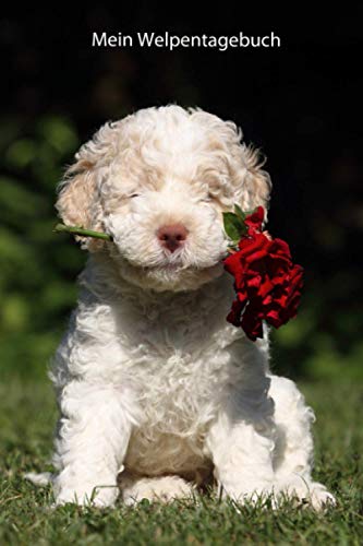 Mein Welpentagebuch: die ersten Monate mit meinem Lagotto Romagnolo (Lagotto - alle Bücher: Trainingstagebuch, Krankenakte und Welpentagebuch, Band 3) von Independently published
