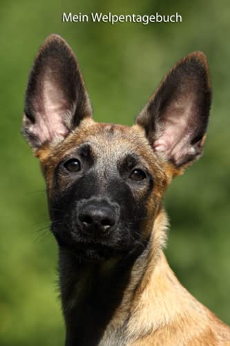 Mein Welpentagebuch: die ersten Monate mit meinem Malinois (Malinois - alle Bücher: Trainingstagebuch, Krankenakte und Welpentagebuch, Band 3) Mein Welpentagebuch: die ersten Monate mit meinem Malinois (Malinois - alle Bücher: Trainingstagebuch, Krankenakte und Welpentagebuch, Band 3) von Independently published