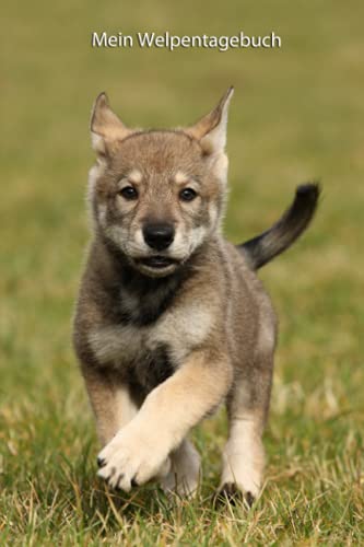 Mein Welpentagebuch: die ersten Monate mit meinem Saarloos Wolfhund (Saarloos Wolfhund - alle Bücher: Trainingstagebuch, Krankenakte und Welpentagebuch, Band 5) von Independently published