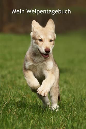 Mein Welpentagebuch: die ersten Monate mit meinem Saarloos Wolfhund - für Welpenbesitzer - für Hundezüchter als Geschenk für die Welpenkäufer beim ... Krankenakte und Welpentagebuch, Band 6) von Independently published