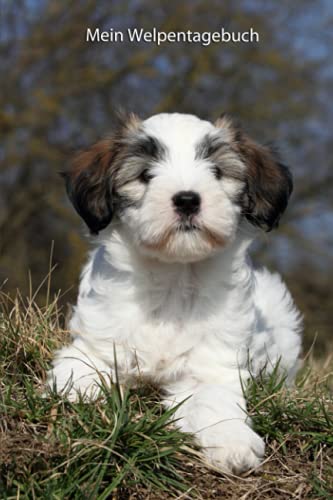 Mein Welpentagebuch: die ersten Monate mit meinem Tibet Terrier Mein Welpentagebuch: die ersten Monate mit meinem Tibet Terrier von Independently published