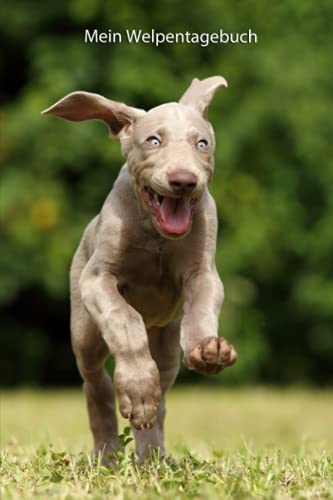 Mein Welpentagebuch: die ersten Monate mit meinem Weimaraner (Weimaraner- alle Bücher: Trainingstagebuch, Krankenakte, BARF Planer und Welpentagebuch, Band 3) von Independently published