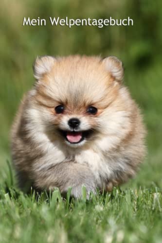 Mein Welpentagebuch: die ersten Monate mit meinem Zwergspitz (Pomeranian - alle Bücher: Trainingstagebuch, Krankenakte und Welpentagebuch, Band 3) von Independently published