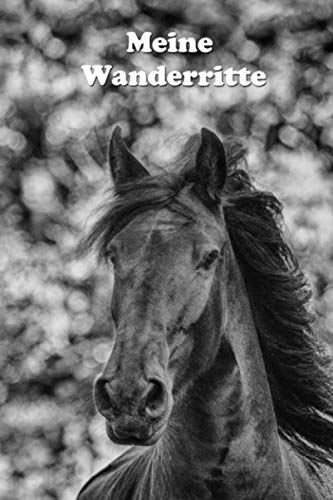 Meine Wanderritte: Das Tagebuch für Wanderreiter - Wanderreiten - Urlaub mit dem Pferd - Tagestouren reiten - Wanderritt (Wanderreiten - weitere Cover mit Pferden) von Independently published