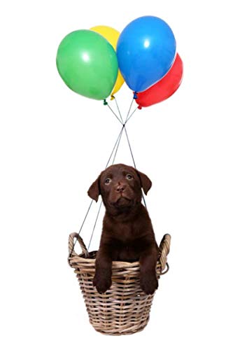 Notizbuch: Labrador Welpe - liniertes Papier mit 120 Seiten 6x9" (ähnlich DIN A5) (Labrador Retriever in schoko braun - Trainingstagebuch, Krankenakte, Welpentagebuch, BARF Planer und Notizbuch) von Independently published