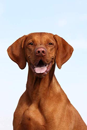 Trainingstagebuch für Hundebesitzer: Dein Magyar Vizsla im Hundetraining (Magyar Vizsla - alle Bücher: Trainingstagebuch, Krankenakte, BARF Planer und Welpentagebuch, Band 1)