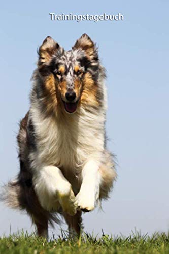 Trainingstagebuch: Amerikanischer Collie - mit Vorlagen schnell und einfach das Training dokumentieren (Amerikanischer Collie - alle Bücher: ... BARF Planer und Welpentagebuch, Band 7)