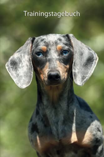 Trainingstagebuch: Amerikanischer Zwergdackel - mit Vorlagen schnell und übersichtlich das Hundetraining dokumentieren Trainingstagebuch: Amerikanischer Zwergdackel - mit Vorlagen schnell und übersichtlich das Hundetraining dokumentieren