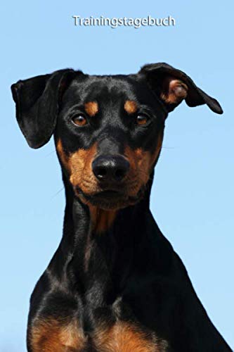 Trainingstagebuch: Deutscher Pinscher - mit Vorlagen schnell und einfach das Training dokumentieren (Deutscher Pinscher - alle Bücher: ... BARF Planer und Welpentagebuch, Band 1)