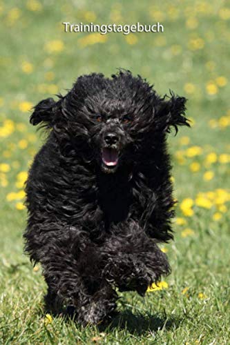 Trainingstagebuch: Portugiesischer Wasserhund - mit Vorlagen schnell und einfach das Training dokumentieren Trainingstagebuch: Portugiesischer Wasserhund - mit Vorlagen schnell und einfach das Training dokumentieren von Independently published