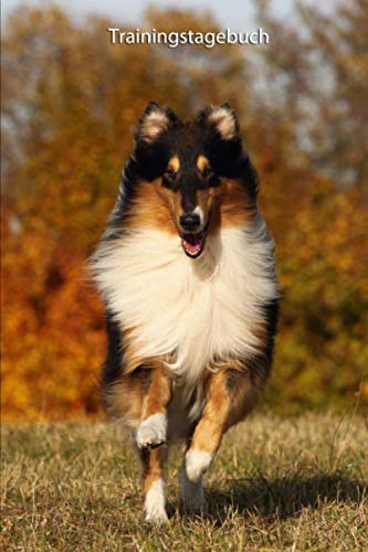 Trainingstagebuch: für Deinen Collie - mit Vorlagen schnell und einfach das Training dokumentieren (Amerikanischer Collie - alle Bücher: ... BARF Planer und Welpentagebuch, Band 6)