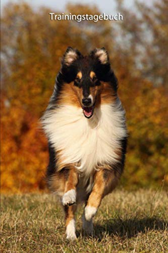 Trainingstagebuch: für Deinen Collie - mit Vorlagen schnell und einfach das Training dokumentieren (Amerikanischer Collie - alle Bücher: ... BARF Planer und Welpentagebuch, Band 6) Trainingstagebuch: für Deinen Collie - mit Vorlagen schnell und einfach das Training dokumentieren (Amerikanischer Collie - alle Bücher: ... BARF Planer und Welpentagebuch, Band 6) von Independently published