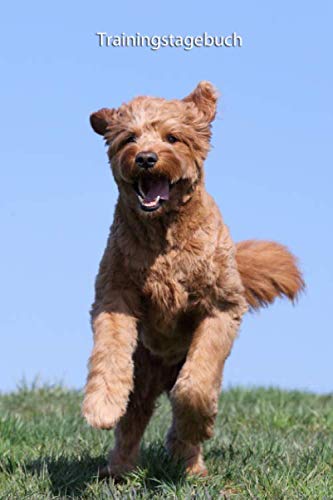 Trainingstagebuch: für Deinen Goldendoodle - mit Vorlagen schnell und einfach das Training dokumentieren (Goldendoodle - alle Bücher: Trainingstagebuch und Krankenakte, Band 1) von Independently published